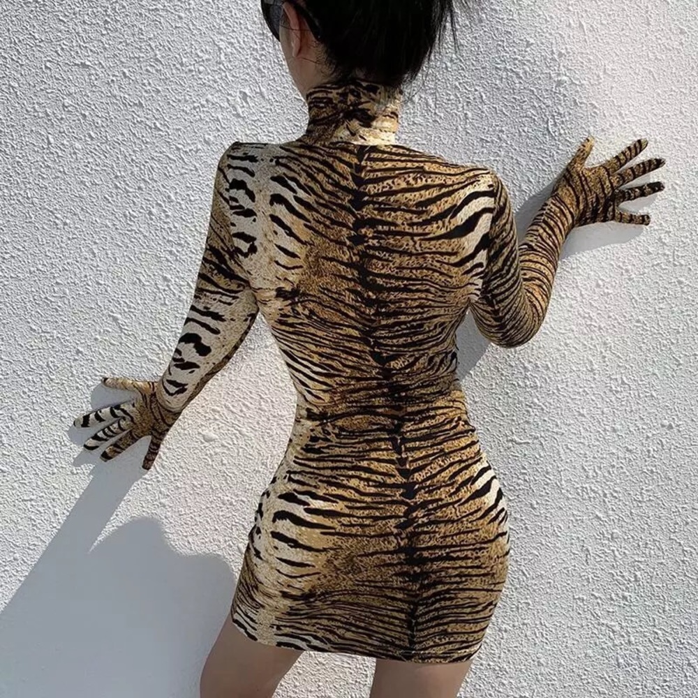 Two piece (tiger print dress)